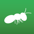 Fineants - Savings Tracker